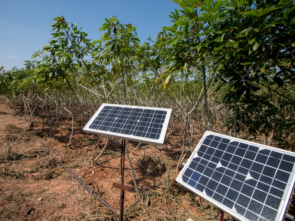 , AFRIQUE: soutenu par le Pnud, un projet allie le solaire et l’agriculture dans 9 pays